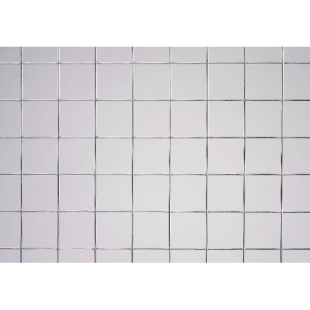 Grillage galvanisé BETAFENCE 7079083