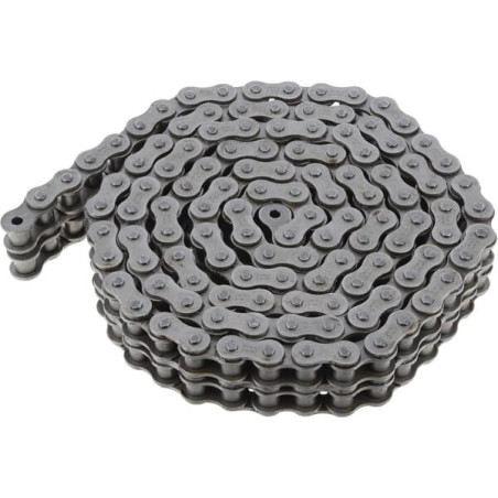 Chaîne LINK-BELT 80A2LB