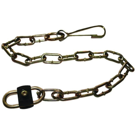 Chaîne BONDIOLI/6PAVESI 252000101R02