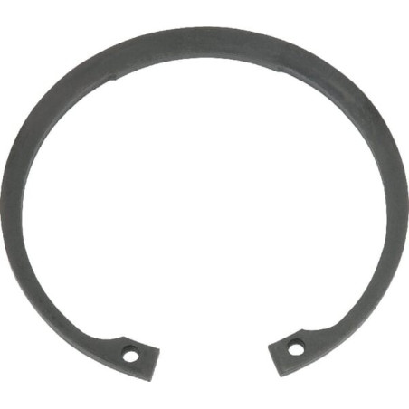 Circlip PERFECT 301931