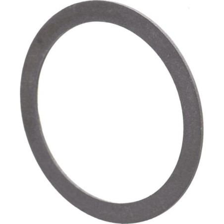 Circlip ZF 0630501019