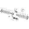Circlip BONDIOLI/6PAVESI 338001064R20