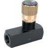 Clapet TOGNELLA FT257534