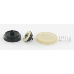 Clapet SHURFLO DIP9423700