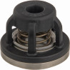 Clapet ANNOVI REVERBERI 759054