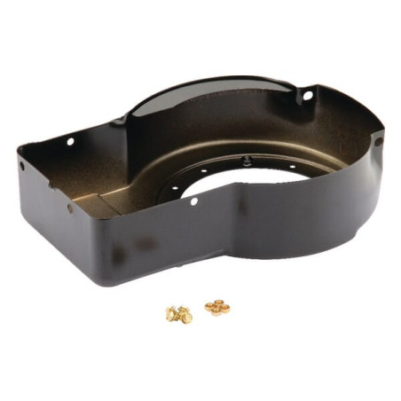 Coiffe BRIGGS ET STRATTON 495759