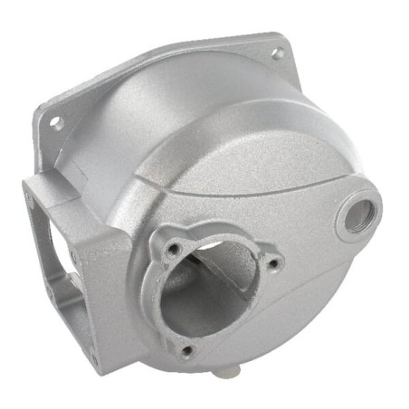 Corps de pompe BRIGGS ET STRATTON 197752GS