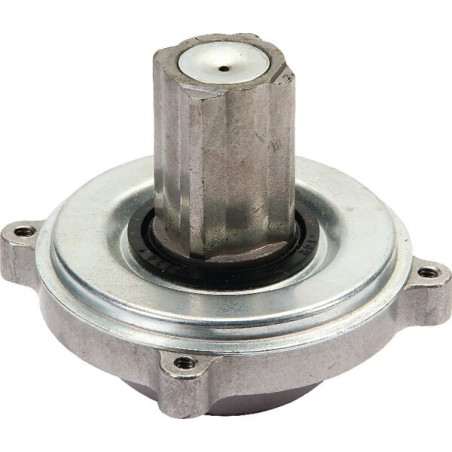 Couplage BRIGGS ET STRATTON 393127S