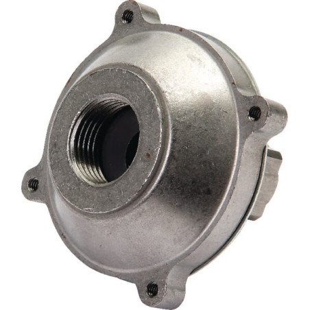 Couplage BRIGGS ET STRATTON 393127S