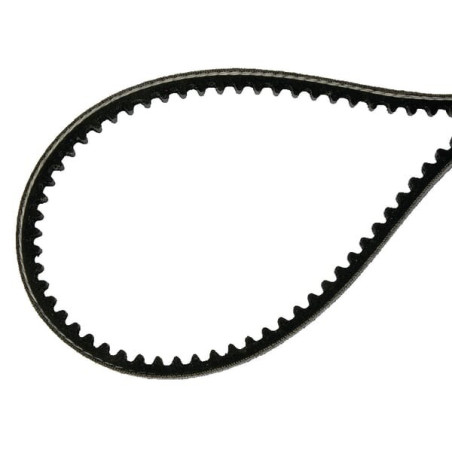 Courroie AS-MOTOR E08876ASM