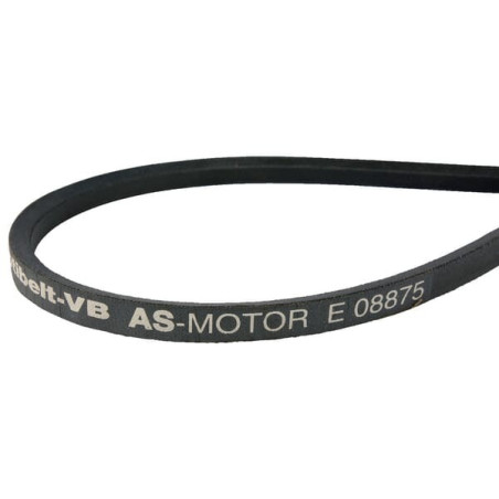 Courroie AS-MOTOR E08875ASM