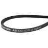 Courroie AS-MOTOR E08875ASM