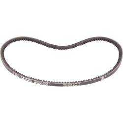 Courroie GOLDONI 0L2440022