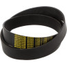 Courroie RABE MM51550001