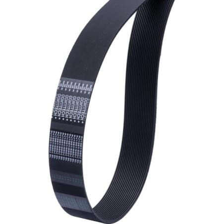 Courroie SOLA FE604014