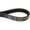 Courroie OPTIBELT VX3210950