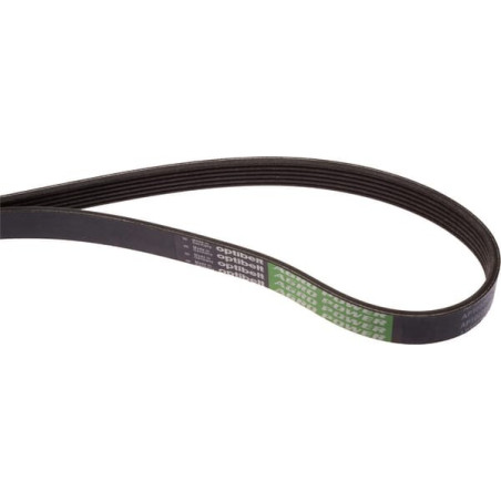 Courroie nervurée OPTIBELT 87309963AB