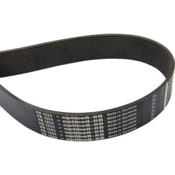 Courroie nervurée 12PK1755 OPTIBELT 12PK1755