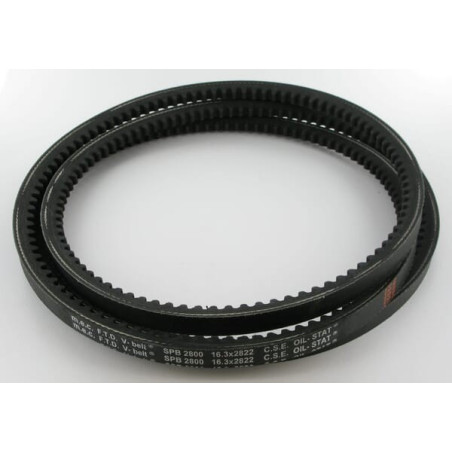 Courroie SITREX 600853