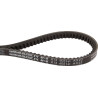 Courroie OPTIBELT AX13605