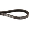 Courroie OPTIBELT BX17750