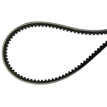 Courroie trapézoïdale AS-MOTOR E11501ASM