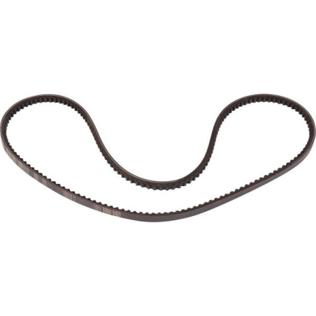 Courroie trapézoïdale GOLDONI 06330003