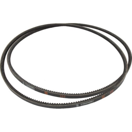 Courroie trapézoïdale MASSEY FERGUSON 3780608M91