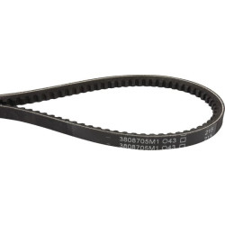 Courroie trapézoïdale MASSEY FERGUSON 3808705M1