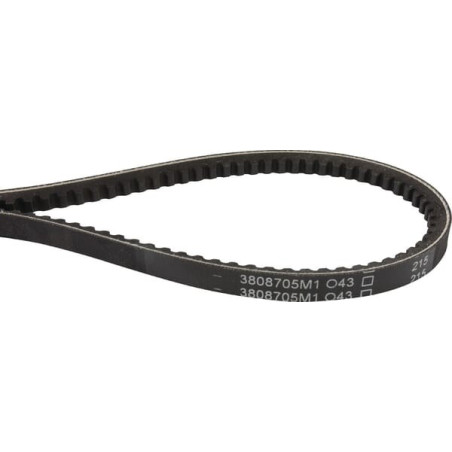 Courroie trapézoïdale MASSEY FERGUSON 3808705M1