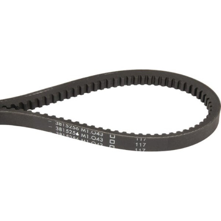 Courroie trapézoïdale MASSEY FERGUSON 3815256M1