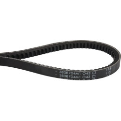 Courroie trapézoïdale MASSEY FERGUSON 3808704M1