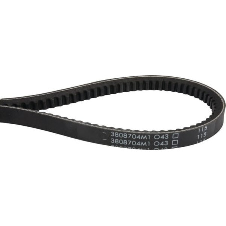 Courroie trapézoïdale MASSEY FERGUSON 3808704M1