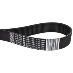 Courroie trapézoïdale MASSEY FERGUSON 4375174M1