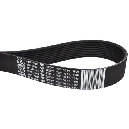Courroie trapézoïdale MASSEY FERGUSON 4375174M1