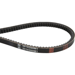 Courroie trapézoïdale MASSEY FERGUSON 5016260M1