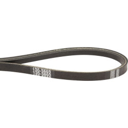 Courroie trapézoïdale TORO 1203892