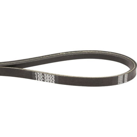 Courroie trapézoïdale TORO 1203892