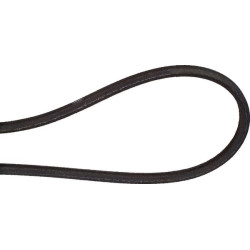 Courroie UNIVERSEL FGP016418