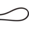 Courroie UNIVERSEL FGP016418