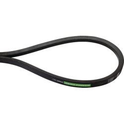 Courroie OPTIBELT 3175036R2AB