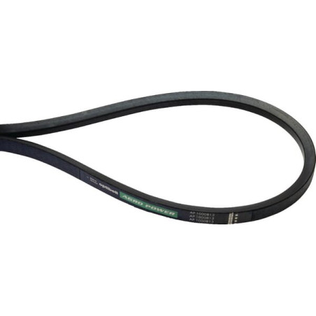 Courroie OPTIBELT 9593418AB