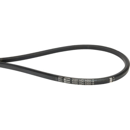 Courroie VIKING 61607042100