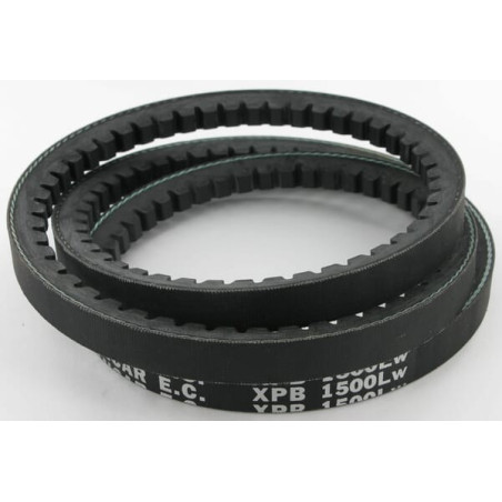 Courroie trapézoïdale MASCHIO F06010066R