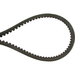 Courroie trapézoïdale MASCHIO F06010040R