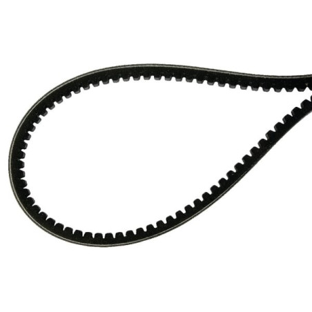 Courroie AGRIA AGW60187