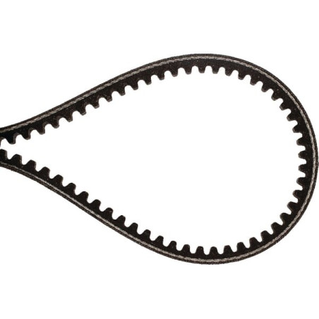 Courroie BRILL B15036