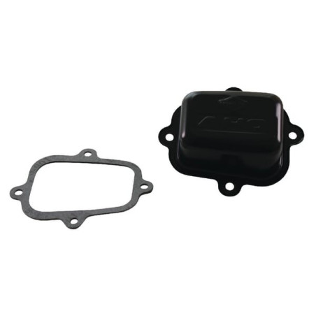 Protection BRIGGS ET STRATTON 499624