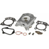 Culasse BRIGGS ET STRATTON 84006584