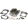 Culasse BRIGGS ET STRATTON 84006584